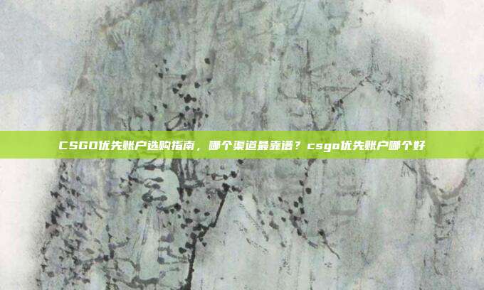 CSGO优先账户选购指南，哪个渠道最靠谱？csgo优先账户哪个好