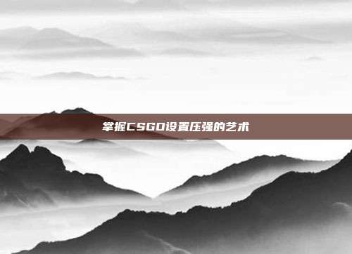 掌握CSGO设置压强的艺术