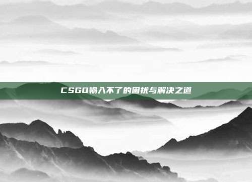 CSGO输入不了的困扰与解决之道