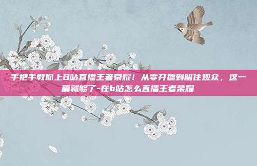 手把手教你上B站直播王者荣耀！从零开播到留住观众，这一篇就够了-在b站怎么直播王者荣耀