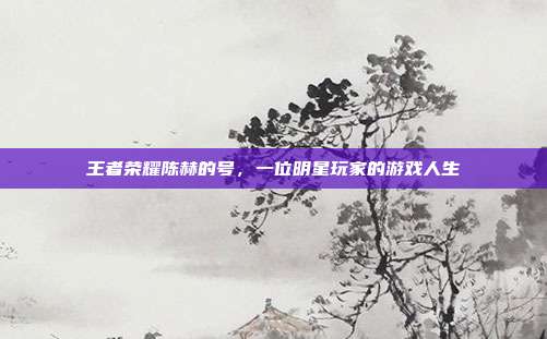 王者荣耀陈赫的号，一位明星玩家的游戏人生
