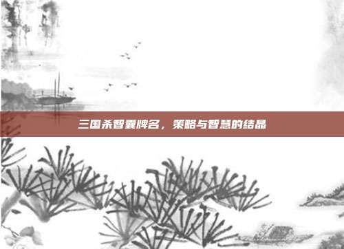 三国杀智囊牌名，策略与智慧的结晶