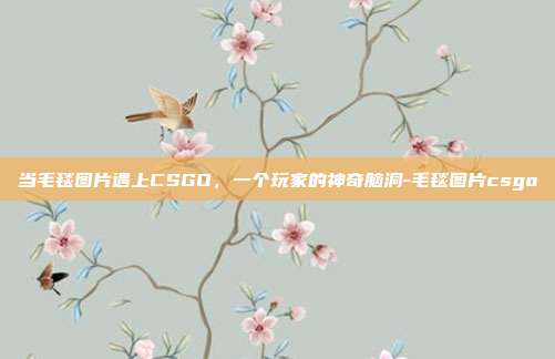 当毛毯图片遇上CSGO，一个玩家的神奇脑洞-毛毯图片csgo