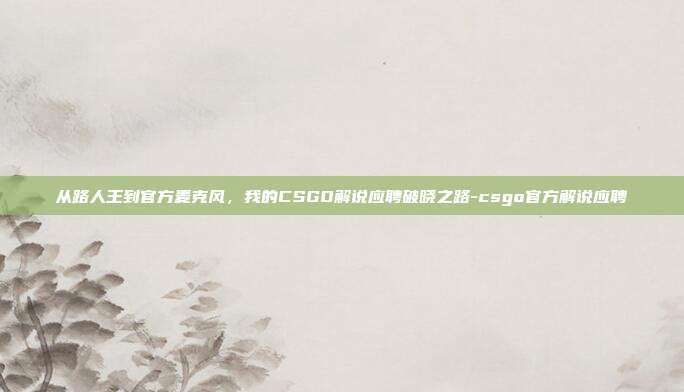从路人王到官方麦克风，我的CSGO解说应聘破晓之路-csgo官方解说应聘