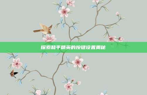 探索和平精英的按键设置奥秘