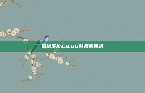 揭秘低价CS:GO装备的真相