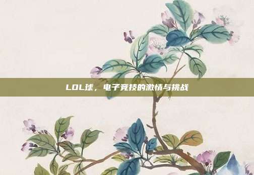 LOL球，电子竞技的激情与挑战