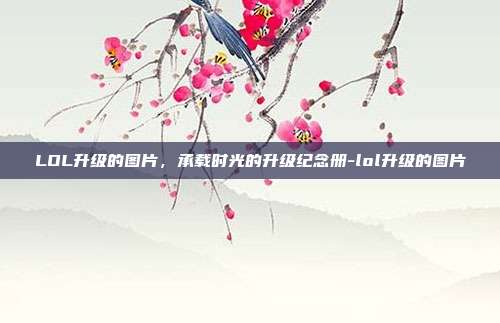 LOL升级的图片，承载时光的升级纪念册-lol升级的图片