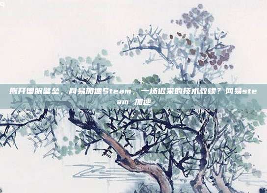 撕开国服壁垒，网易加速Steam，一场迟来的技术救赎？网易steam 加速