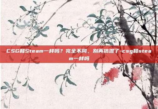 CSG和Steam一样吗？完全不同，别再搞混了-csg和steam一样吗