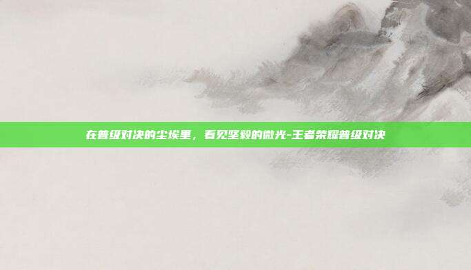 在普级对决的尘埃里，看见坚毅的微光-王者荣耀普级对决