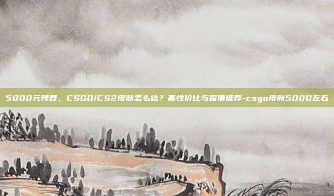 5000元预算，CSGO/CS2皮肤怎么选？高性价比与保值推荐-csgo皮肤5000左右