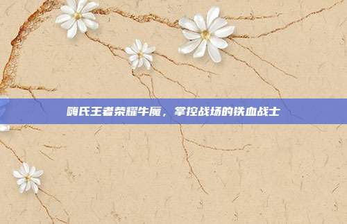 嗨氏王者荣耀牛魔，掌控战场的铁血战士