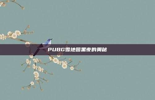 PUBG雪地图黑夜的奥秘