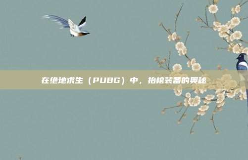 在绝地求生（PUBG）中，抬棺装备的奥秘