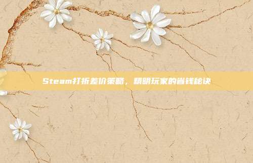 Steam打折差价策略，精明玩家的省钱秘诀