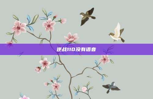 逆战110没有语音