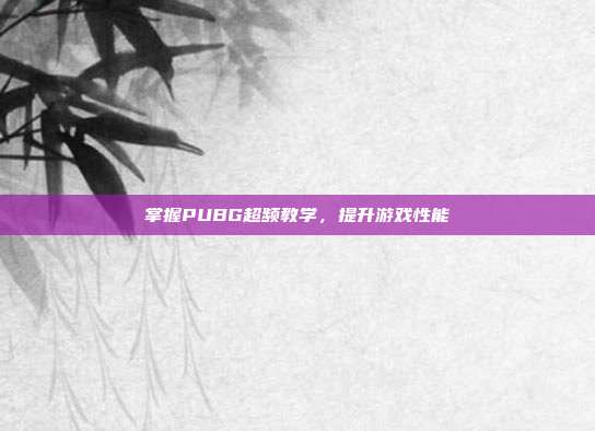 掌握PUBG超频教学，提升游戏性能