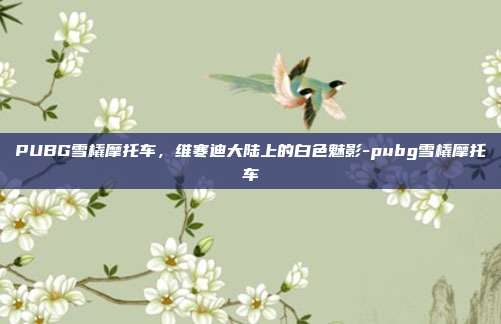 PUBG雪橇摩托车，维寒迪大陆上的白色魅影-pubg雪橇摩托车