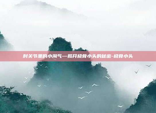 肘关节里的小淘气—揭开桡骨小头的秘密-桡骨小头