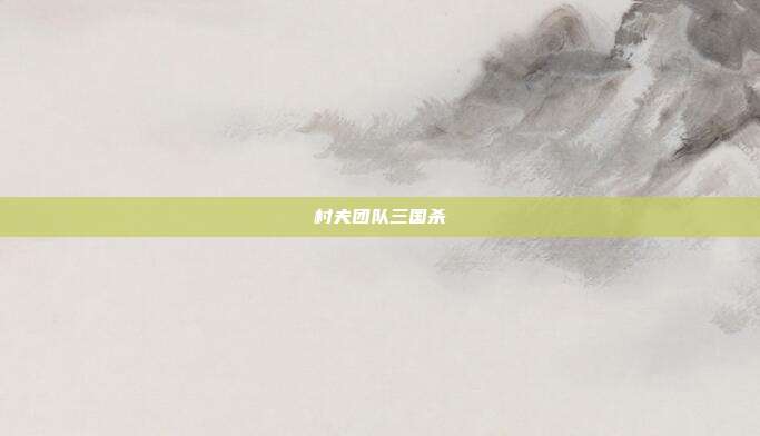 村夫团队三国杀