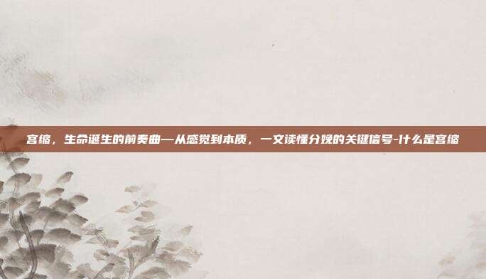 宫缩，生命诞生的前奏曲—从感觉到本质，一文读懂分娩的关键信号-什么是宫缩