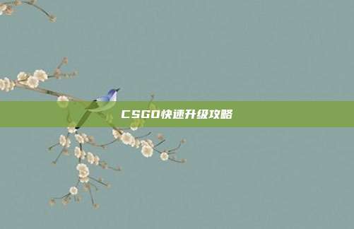 CSGO快速升级攻略