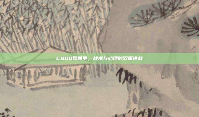 CSGO双面龟，战术与心理的双重挑战