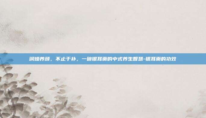 润燥养颜，不止于补，一碗银耳羹的中式养生智慧-银耳羹的功效