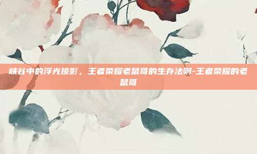 峡谷中的浮光掠影，王者荣耀老鼠哥的生存法则-王者荣耀的老鼠哥