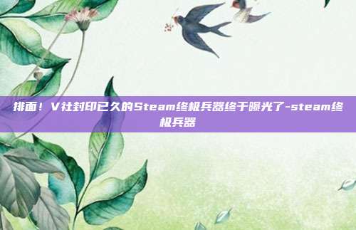 排面！V社封印已久的Steam终极兵器终于曝光了-steam终极兵器