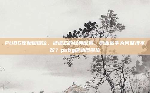 PUBG原始图键位,被遗忘的经典配置,职业选手为何坚持不改?pubg原始图键位