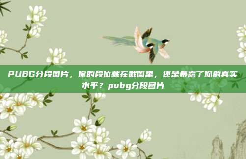 PUBG分段图片,你的段位藏在截图里,还是暴露了你的真实水平?pubg分段图片