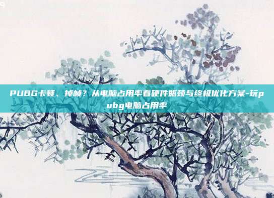 PUBG卡顿、掉帧？从电脑占用率看硬件瓶颈与终极优化方案-玩pubg电脑占用率