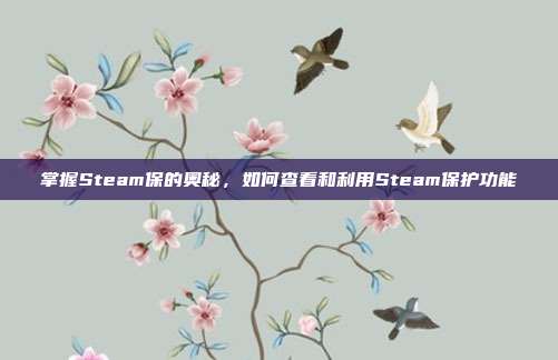 掌握Steam保的奥秘，如何查看和利用Steam保护功能