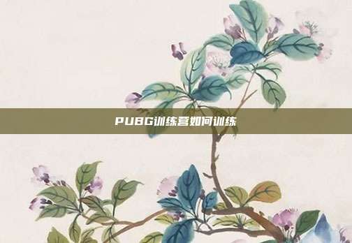 PUBG训练营如何训练