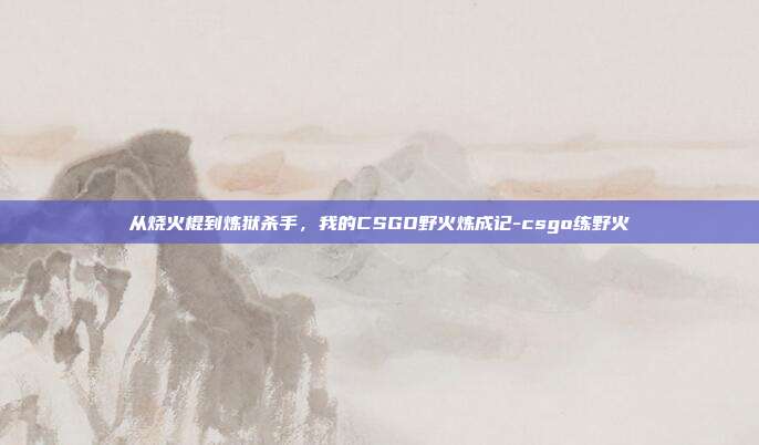 从烧火棍到炼狱杀手，我的CSGO野火炼成记-csgo练野火