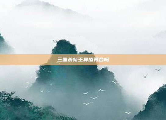 三国杀新王异值得合吗