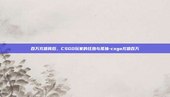 百万充值背后，CSGO玩家的狂热与孤独-csgo充值百万