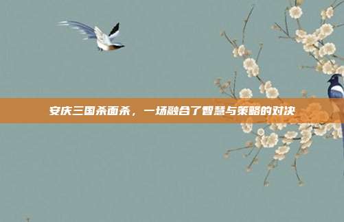 安庆三国杀面杀，一场融合了智慧与策略的对决