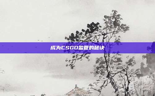 成为CSGO监管的秘诀