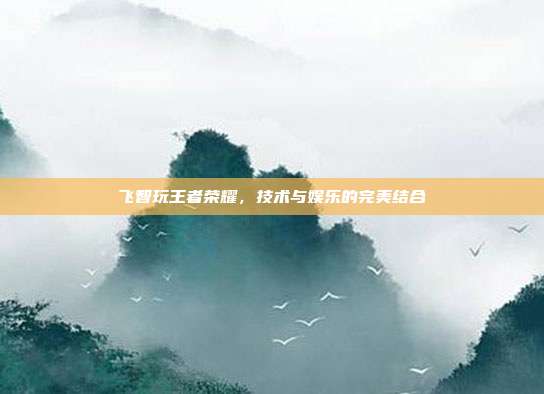 飞智玩王者荣耀，技术与娱乐的完美结合