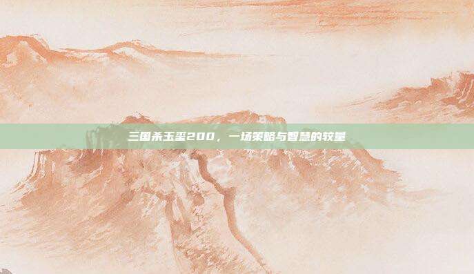三国杀玉玺200，一场策略与智慧的较量