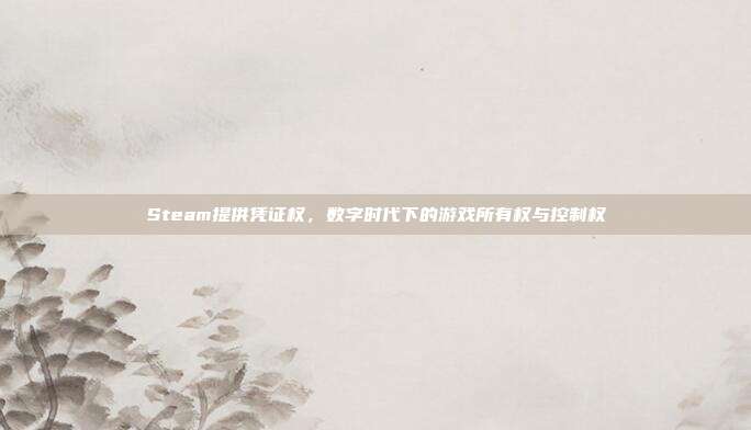 Steam提供凭证权，数字时代下的游戏所有权与控制权