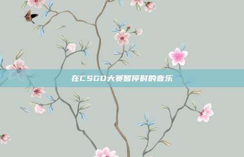 在CSGO大赛暂停时的音乐