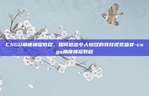CSGO角度捕捉教程,如何拍出令人惊叹的竞技视觉盛宴-csgo角度捕捉教程