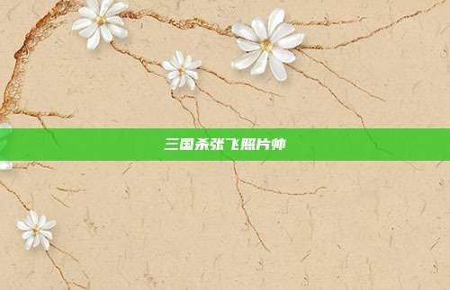 三国杀张飞照片帅