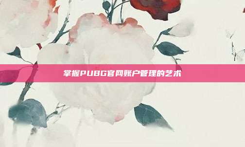 掌握PUBG官网账户管理的艺术