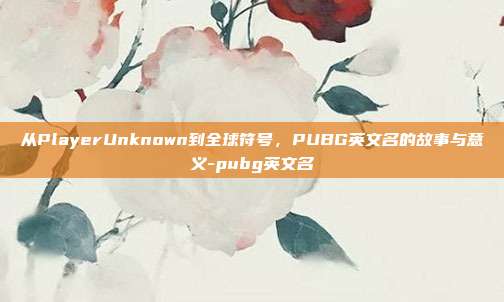 从PlayerUnknown到全球符号，PUBG英文名的故事与意义-pubg英文名