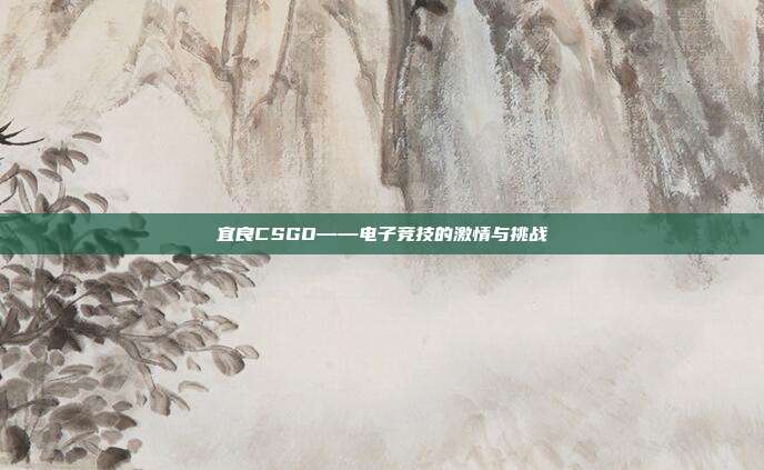 宜良CSGO——电子竞技的激情与挑战
